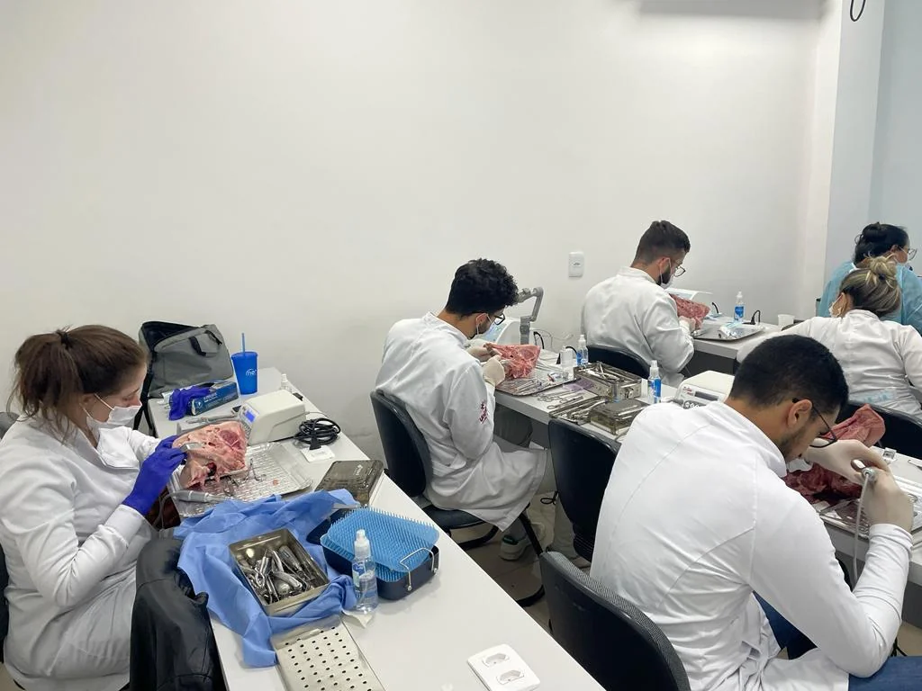 Ambiente de estudo e aperfeiçoamento profissional da NEO